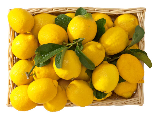 Лечебни способности на лимоните