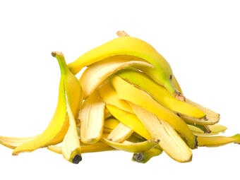  
обелката на банана е толкова хранителна, колкото и плодът?
 
Точно така –...