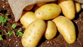 Не изхвърляйте водата от варените картофи, има лечебни свойства
