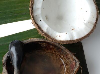 Най-здравословната мазнина: кокосовото масло