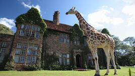 Релакс зона на седмицата: Giraffe Manor 