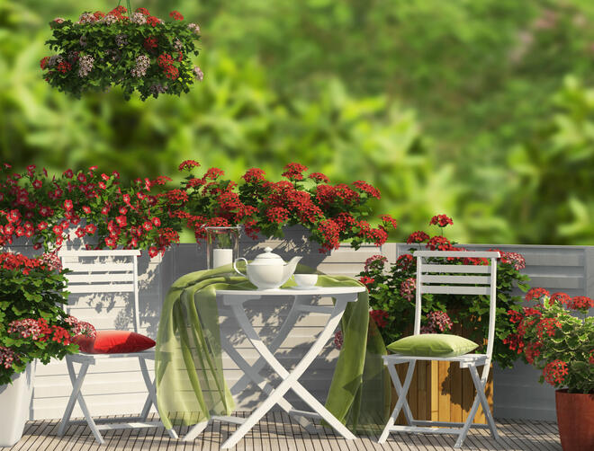 Превърни балкона си в зелена градина!