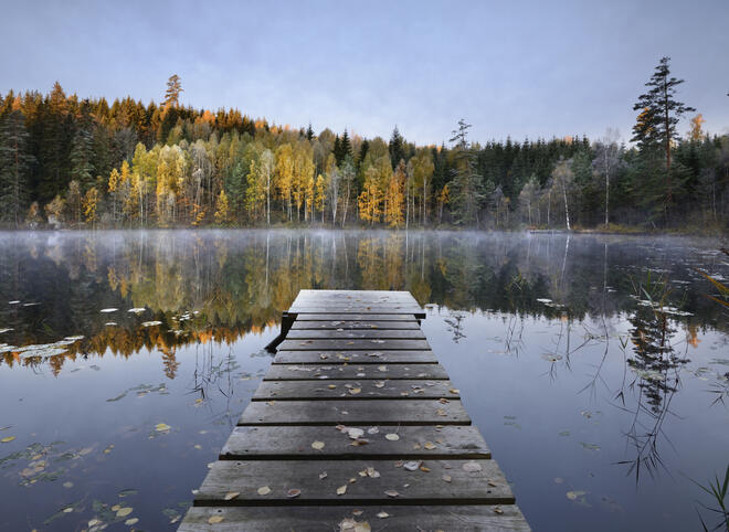 Есен в Швеция