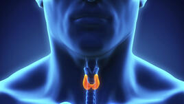 17 знака за проблеми с щитовидната жлеза