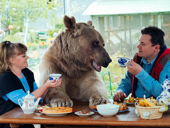Светлана, Юри и мечокът
