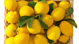 Лечебни способности на лимоните