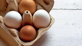 Ново 20! Яйцата не повишават холестерола, твърдят учени