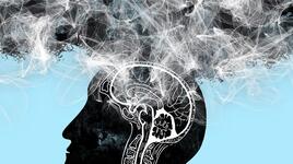 5 добавки в храните, които убиват мозъка ни