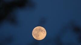 Какво ни носи пълнолунието във Водолей на 1 август?
