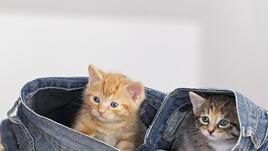 Панталони есен-зима: Какви са модните трендове?