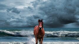 Тези 5 зодиакални знака ще яздят Червения огнен кон през 2026-а