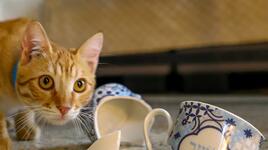 Счупеното: Не винаги носи щастие, вижте поверията