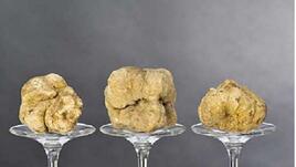 Някои от най-скъпите храни в света
