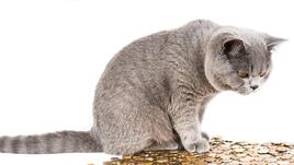 Неочаквани пари за тези зодии в края на януари