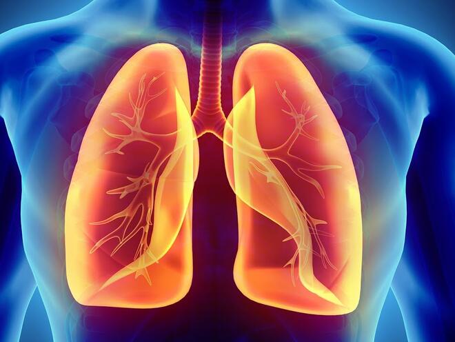 Храни с висок гликемичен индекс повишават риска от рак на белия дроб