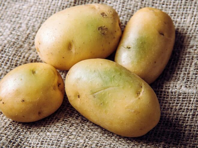 Избягвайте зелените и покълнали картофи, опасни са за здравето