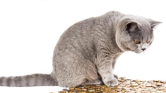 Финансов хороскоп за всички зодии през май