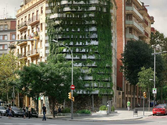 Фасада от живи растения в Барселона