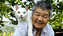 Баба и котка: вечните приятели