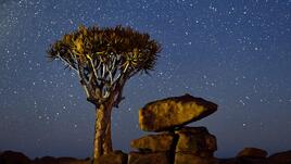 Нощи в Намиб
