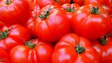 Забравете за хладилника! Как да съхраняваме доматите, за да запазим вкуса им?

