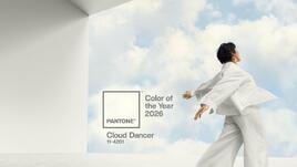 Цветът на годината за 2026 г. е „Cloud Dancer“
